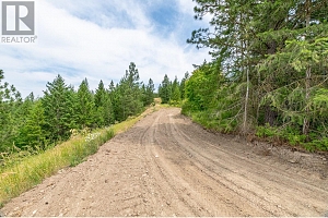 229 Enderby Grindrod Road - Photo 4