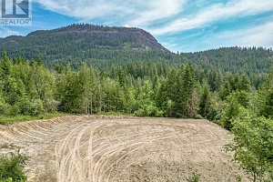 229 Enderby Grindrod Road - Photo 46