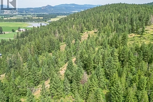 229 Enderby Grindrod Road - Photo 48