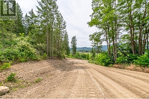 229 Enderby Grindrod Road - Photo 5