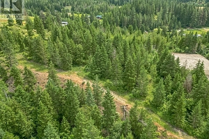 229 Enderby Grindrod Road - Photo 50