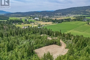 229 Enderby Grindrod Road - Photo 51