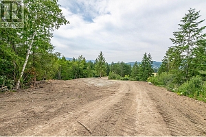 229 Enderby Grindrod Road - Photo 52