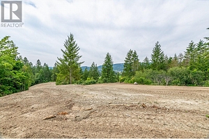 229 Enderby Grindrod Road - Photo 53