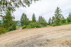 229 Enderby Grindrod Road - Photo 54