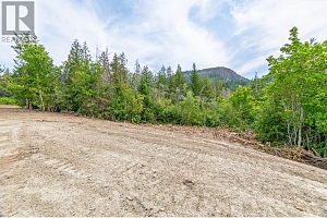 229 Enderby Grindrod Road - Photo 55