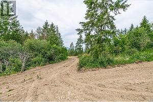 229 Enderby Grindrod Road - Photo 56