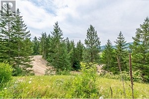 229 Enderby Grindrod Road - Photo 58