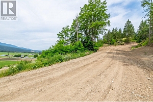 229 Enderby Grindrod Road - Photo 6