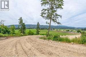 229 Enderby Grindrod Road - Photo 8