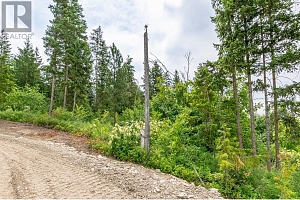 229 Enderby Grindrod Road - Photo 9