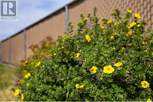 3930 20 Street Unit# 2 - Photo 44