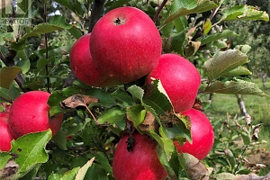 5393 East Vernon Road - Photo 77