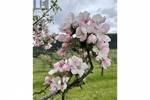 5393 East Vernon Road - Photo 79