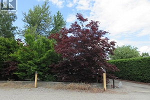 415 Commonwealth Road Unit# 633 - Photo 2