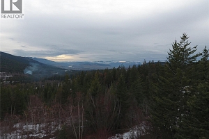 7974 Silver Star Road - Photo 10