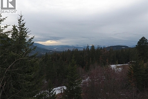 7974 Silver Star Road - Photo 11