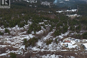 7974 Silver Star Road - Photo 12