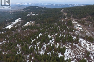 7974 Silver Star Road - Photo 13