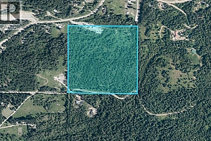 7974 Silver Star Road - Photo 2