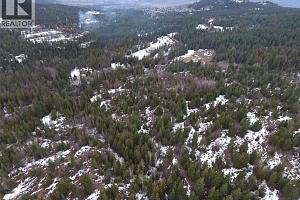 7974 Silver Star Road - Photo 3