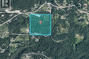 7974 Silver Star Road - Photo 4