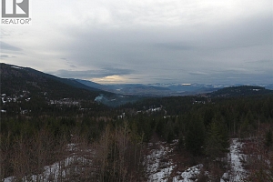 7974 Silver Star Road - Photo 6