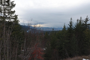 7974 Silver Star Road - Photo 8