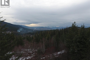 7974 Silver Star Road - Photo 9