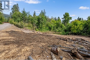 830 Balsam Road - Photo 13