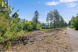 830 Balsam Road - Photo 14