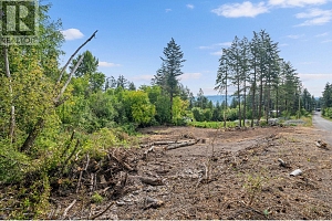 830 Balsam Road - Photo 18