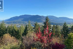 402 Princess Street - Photo 3