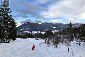 402 Princess Street - Photo 4