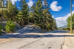 9890 Chase Road - Photo 83