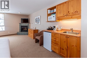 5340 Big White Road Unit# 227 - Photo 11