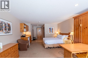 5340 Big White Road Unit# 227 - Photo 13