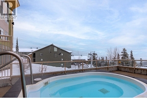 5340 Big White Road Unit# 227 - Photo 33