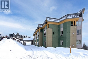 5340 Big White Road Unit# 227 - Photo 5