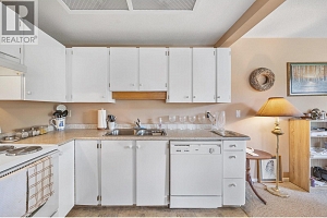 255 McIntosh Road Unit# 205 - Photo 13