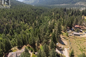 4359 Maxwell Road - Photo 4
