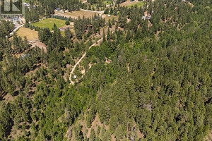 4359 Maxwell Road - Photo 9