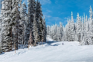 240A Grizzly Ridge Trail - Photo 30