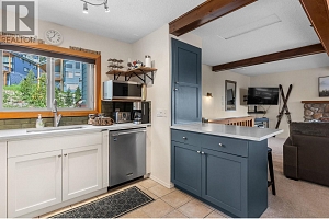 4821 Snow Pines Road Unit# B - Photo 10