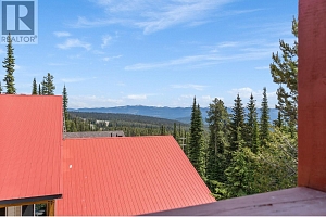 4821 Snow Pines Road Unit# B - Photo 27