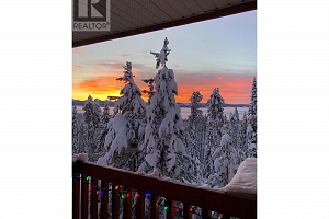 4821 Snow Pines Road Unit# B - Photo 30