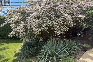599 Clifton Road - Photo 34