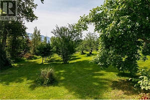 16821 Owl's Nest Road - Photo 41
