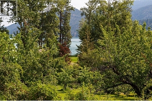 16821 Owl's Nest Road - Photo 46