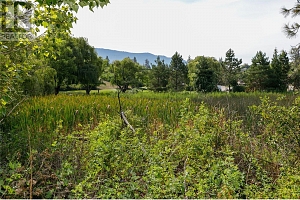16821 Owl's Nest Road - Photo 64